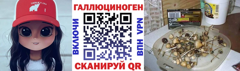 площадка Telegram  Серпухов  Псилоцибиновые грибы Magic Shrooms 